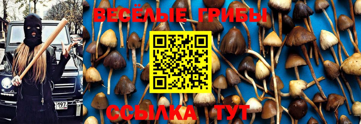 Владивосток  Галлюциногенные грибы ЛСД  Вход с VPN  Галлюциногенные грибы мухоморы 