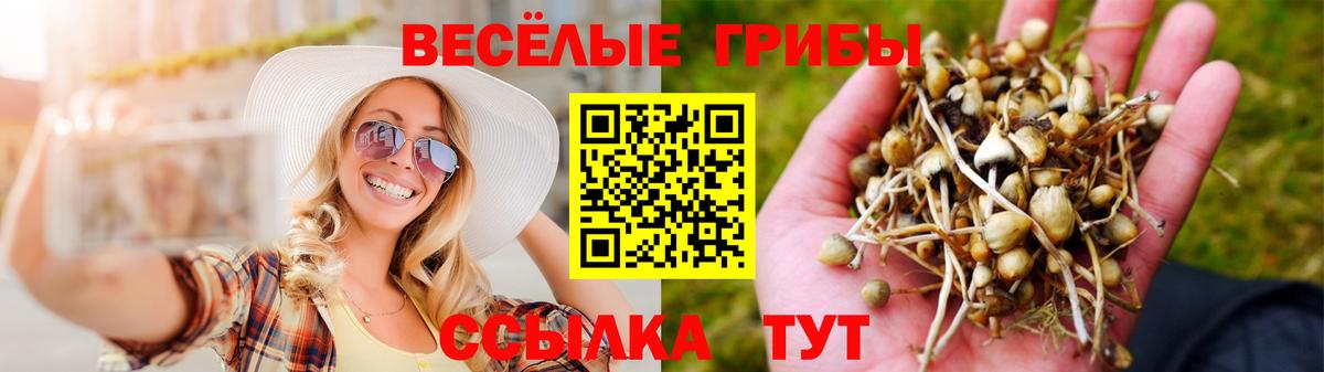 Галлюциногенные грибы GOLDEN TEACHER Владивосток