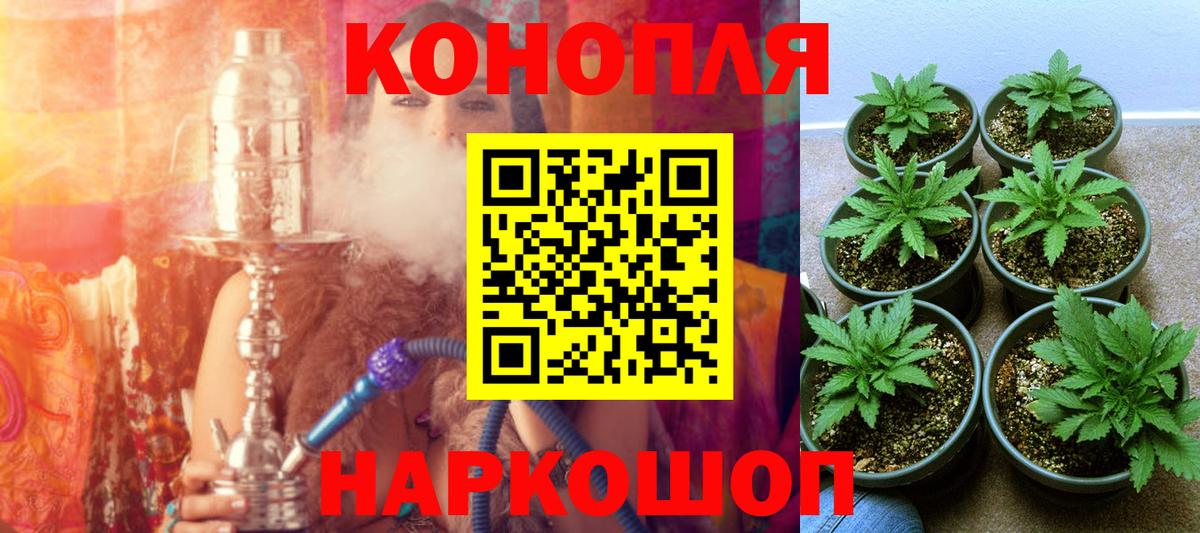 Владивосток  Каннабис планчик  Канабис конопля  МАРИХУАНА Ganja  Вход с VPN 